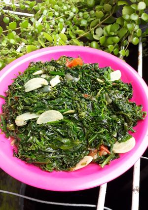 Foto resep Tumis Pakis Cabe Rawit