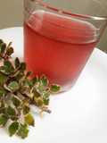 Agua saborizada de cáscaras de sandía y flores de hibiscus