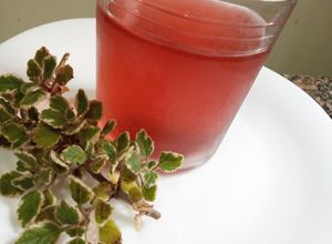 Una foto de Agua saborizada de cáscaras de sandía y flores de hibiscus