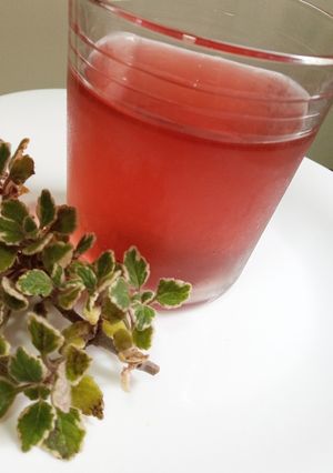 Una foto de Agua saborizada de cáscaras de sandía y flores de hibiscus