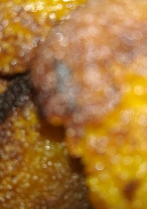 A picture of Pumpkin  fritters.