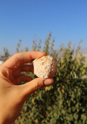Una foto de Cocadas de avena