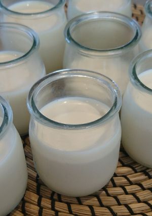 Une photo de Yaourts vanille sucré sans yaourtière