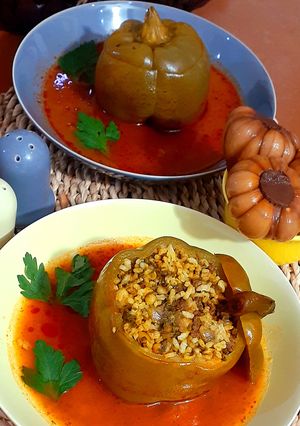 عکسی از دستور دلمه شکم پر🫑