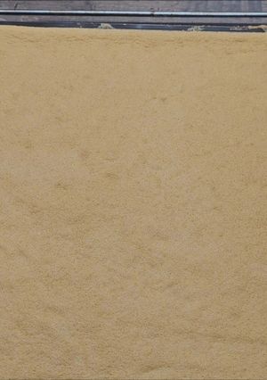 Una foto de Bizcocho para brazo gitano sin gluten