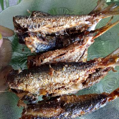 Ikan sardine / ikan kucing goreng - ikan kucing