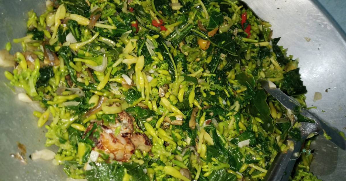 108 Resep Tumis Daun Singkong Ikan Teri Terasi Enak Dan Mudah Cookpad