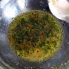 A picture of My Fresh Lemon & Coriander Dressing 💛.