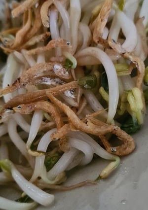 Foto resep Toge Teri