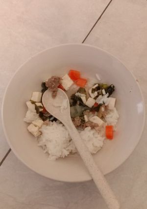 Foto resep Sup Tahu Daging Sawi