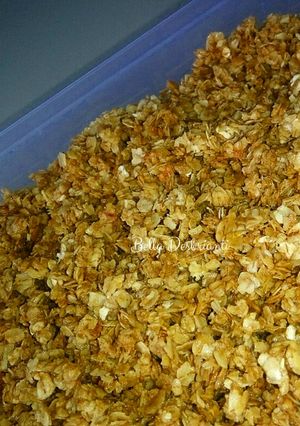 Foto resep Granola 1350 kalori TANPA OVEN