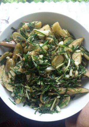 Foto resep Tumis kucai terong gelatik