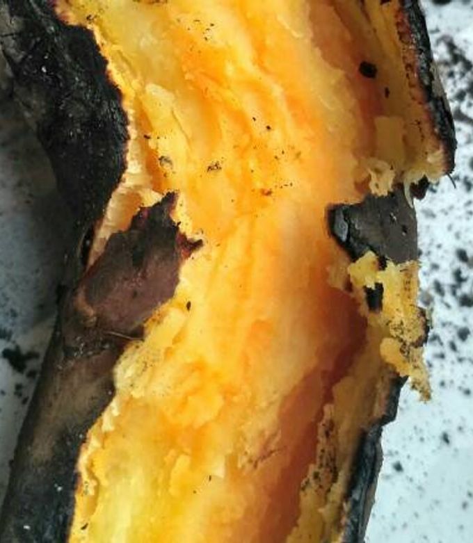Foto resep Telo Bakar