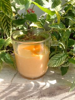 Foto resep Jus Buah Mangga Yogurt