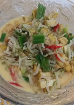 Foto resep Taoge Tahu Kuah Santan