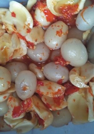 Foto resep Manisan rambutan + buah salak