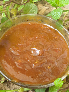 A picture of Khajoor aur imli ki chutney.