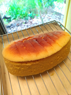 Foto resep Cheddar Cheese Cake