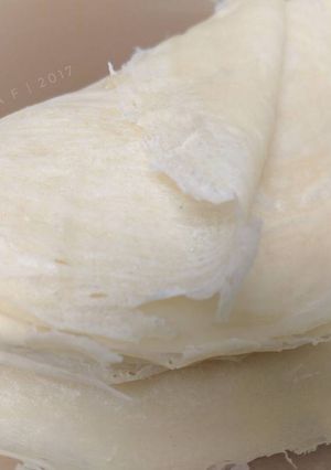 Foto resep Homemade Kulit Lumpia