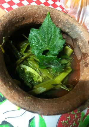 Una foto de Guías de chayote