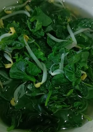 Foto resep Bening Bayam Brazil