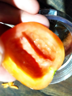 Foto resep Jus wortel tomat