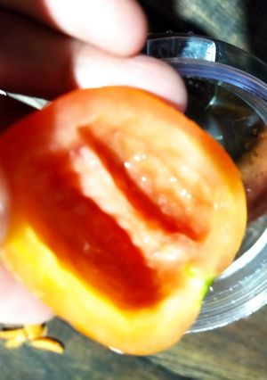 Foto resep Jus wortel tomat