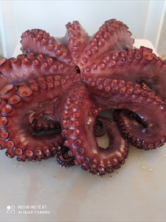 Una foto de Cocción del pulpo