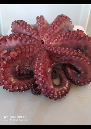 Foto principal de Cocción del pulpo