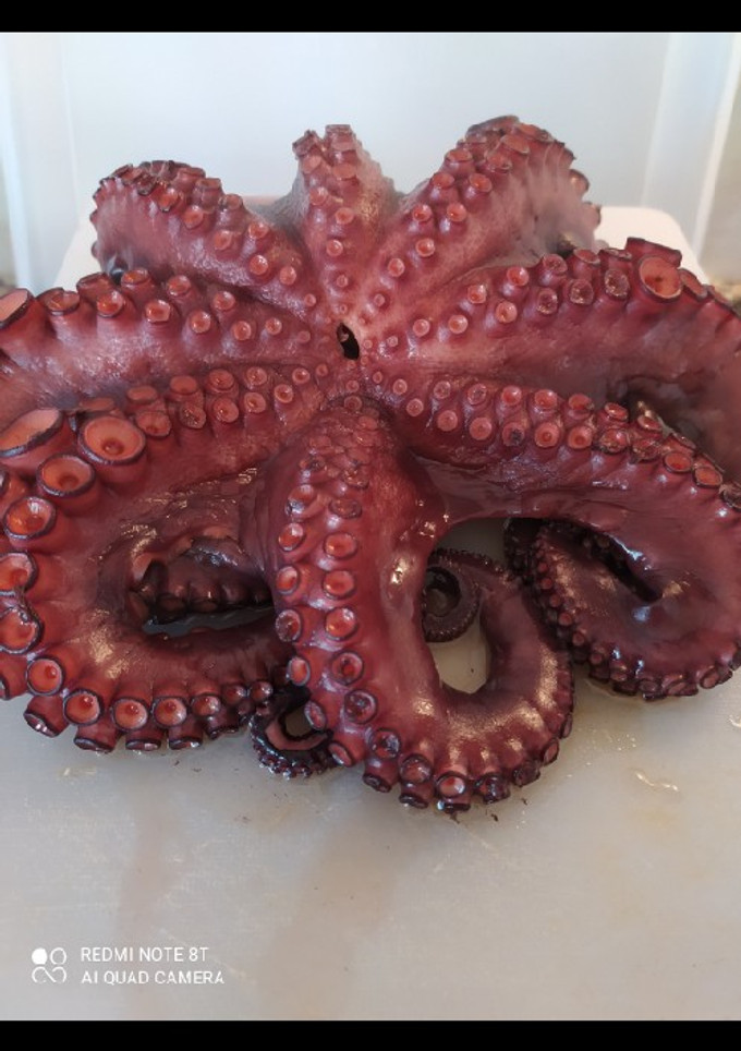 Una foto de Cocción del pulpo