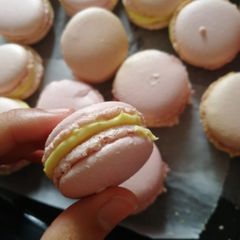 A picture of Macaroon.