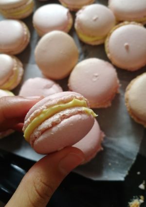 A picture of Macaroon.