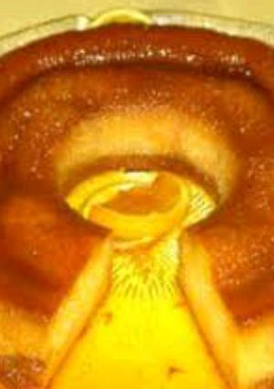 Una foto de Budín de pan