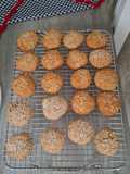 Biscoito Proteico de coco