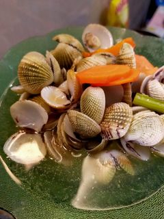 Foto resep Sup kerang dara