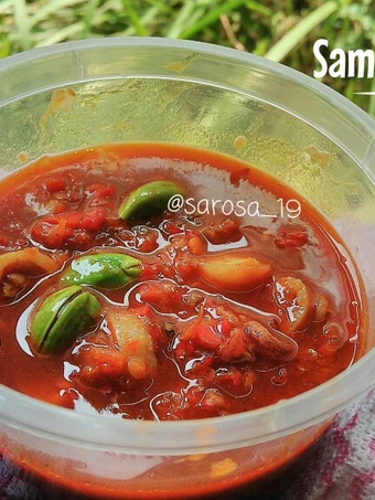 Recipe Sambal Cumi dan Pete the Can Spoil the Tongue Can spoil the tongue