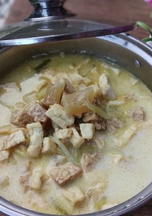 Foto resep Lodeh tahu tempe