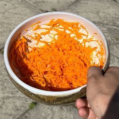 A picture of Carrot Salad.