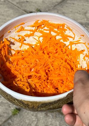 A picture of Carrot Salad.