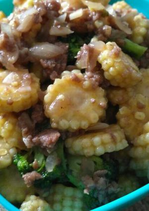 Foto resep Daging cincang sayur saos tiram