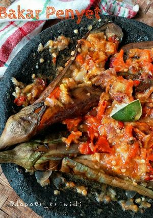 Foto resep Terong Bakar Penyet