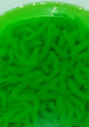 Foto resep Cendol nutrijell