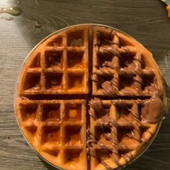A picture of Waffles.