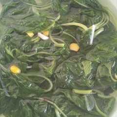 รูปของ Sayur bayam bening