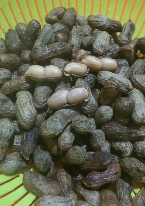 Foto resep Kacang tanah rebus