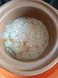 Mpasi 6+ bubur opor ayam wortel manisa