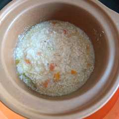 Mpasi 6+ bubur opor ayam wortel manisa রেসিপির প্রধান ছবি
