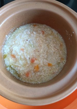 Foto resep Mpasi 6+ bubur opor ayam wortel manisa
