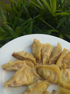 Foto resep Gyoza