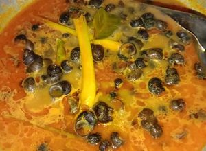 Foto resep Tutut kuah bumbu kuning ala mama ival